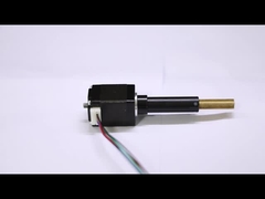 Serie prisionera del motor de pasos de Casun