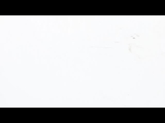 NEMA 23 Motor paso a paso de panqueques Ultra - delgado - alto rendimiento de par