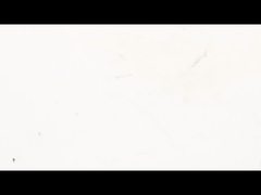 NEMA 17 Encoder de motor paso a paso lineal cautivo - Equipado para un control lineal sin igual